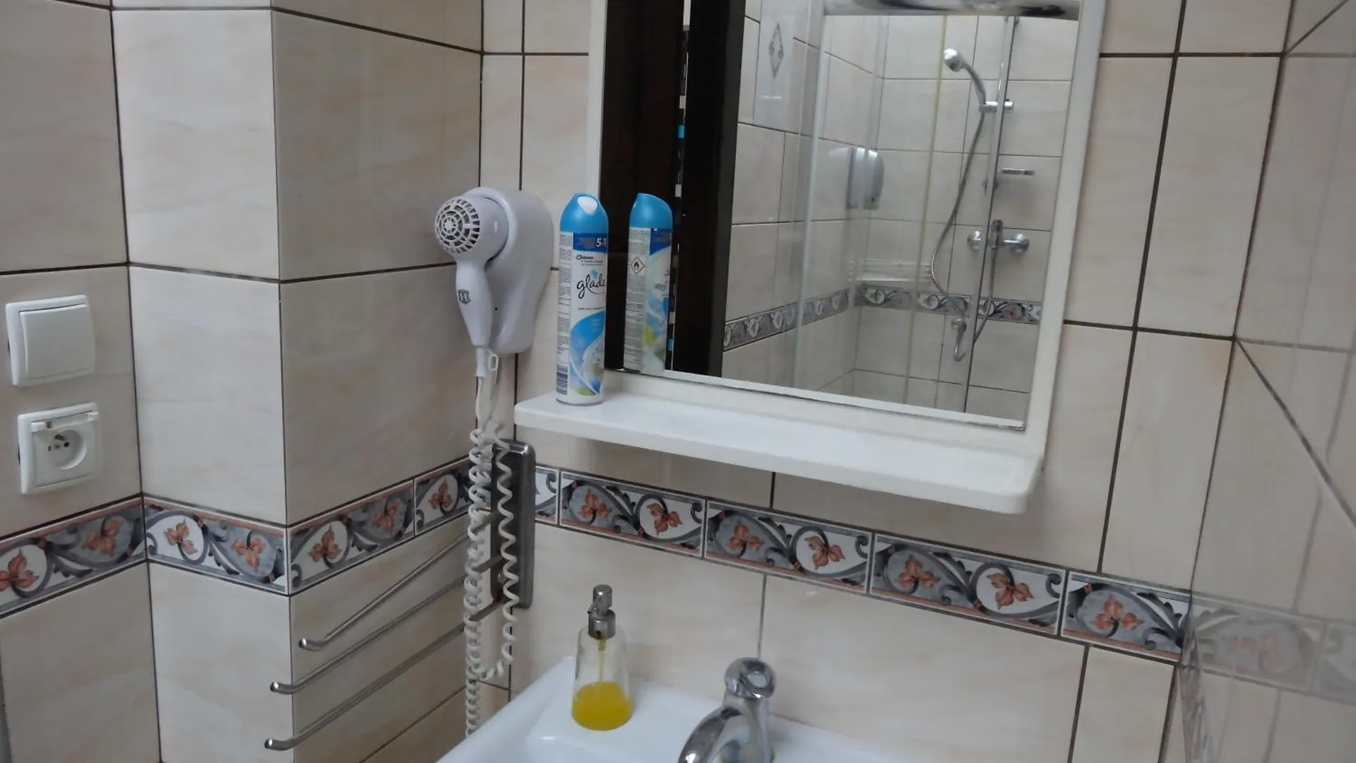 Mimosa Rooms Poznan